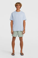 O'Neill Cali 16'' Swimshorts Men - Marble Arch