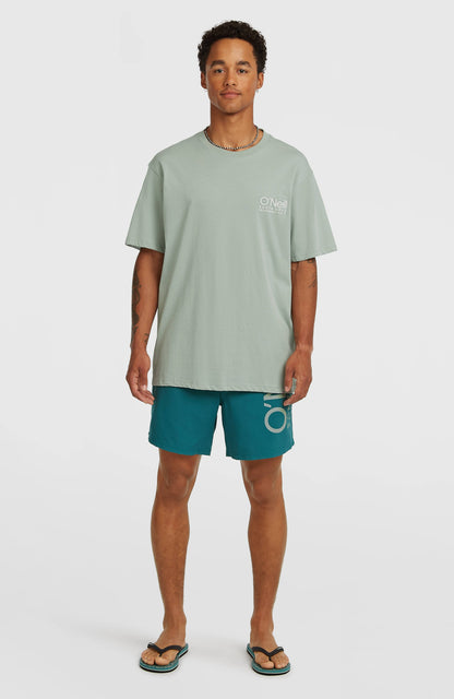 O'Neill Cali 16'' Swimshorts Men - Botanical Heat