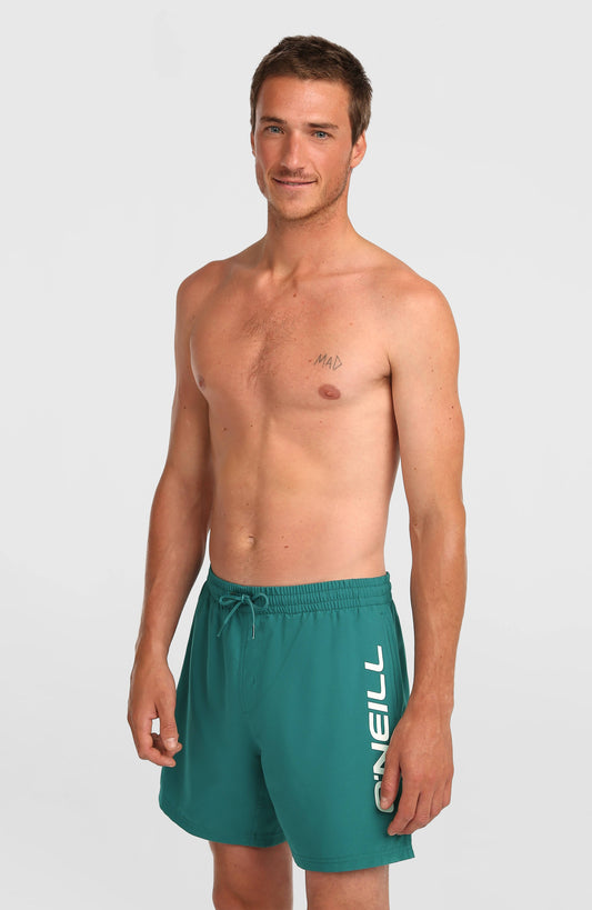O'Neill Logo 16'' Swimshorts Men - Botanical Heat