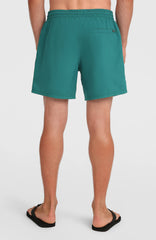 O'Neill Logo 16'' Swimshorts Men - Botanical Heat