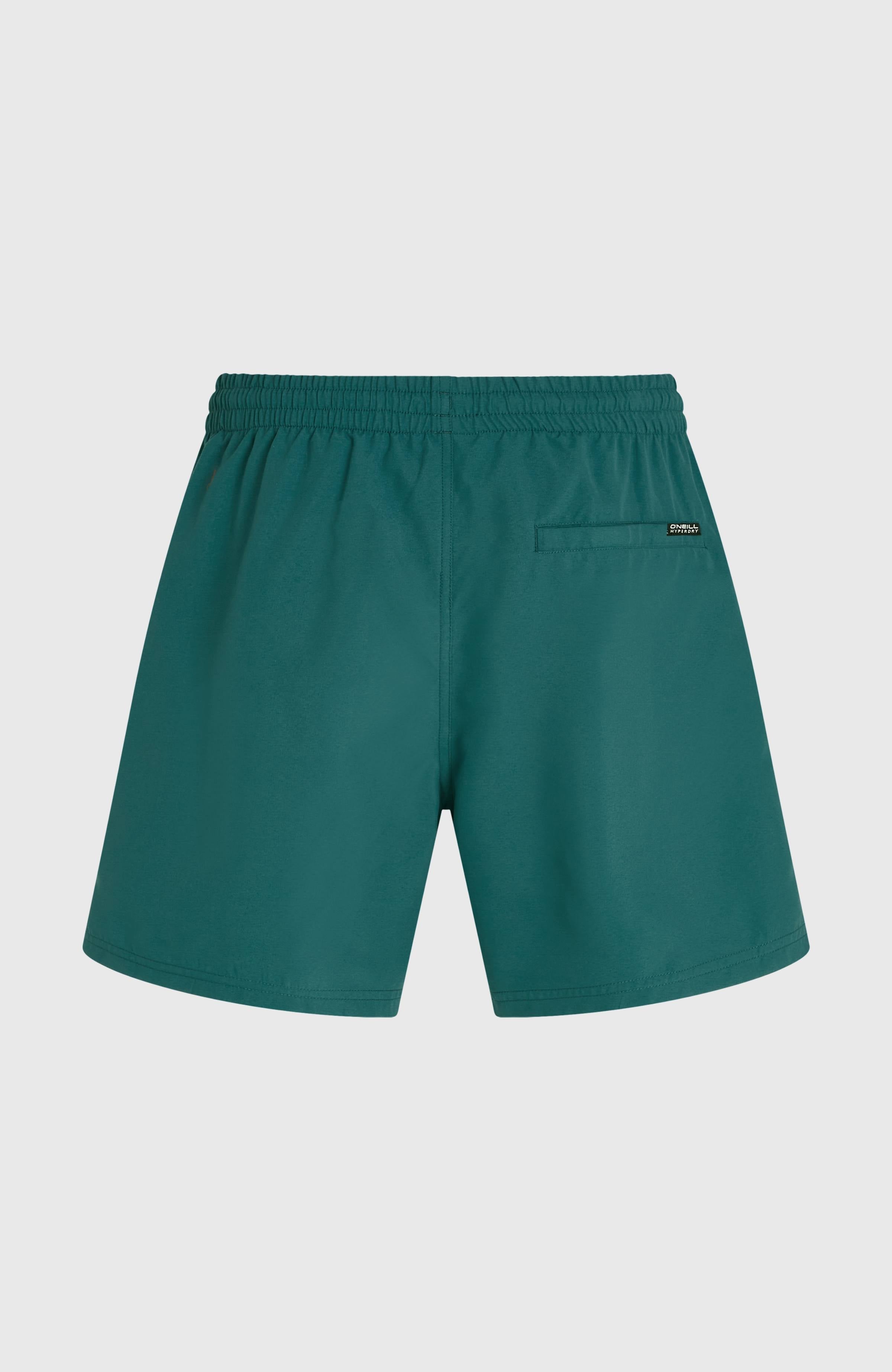O'Neill Logo 16'' Swimshorts Men - Botanical Heat
