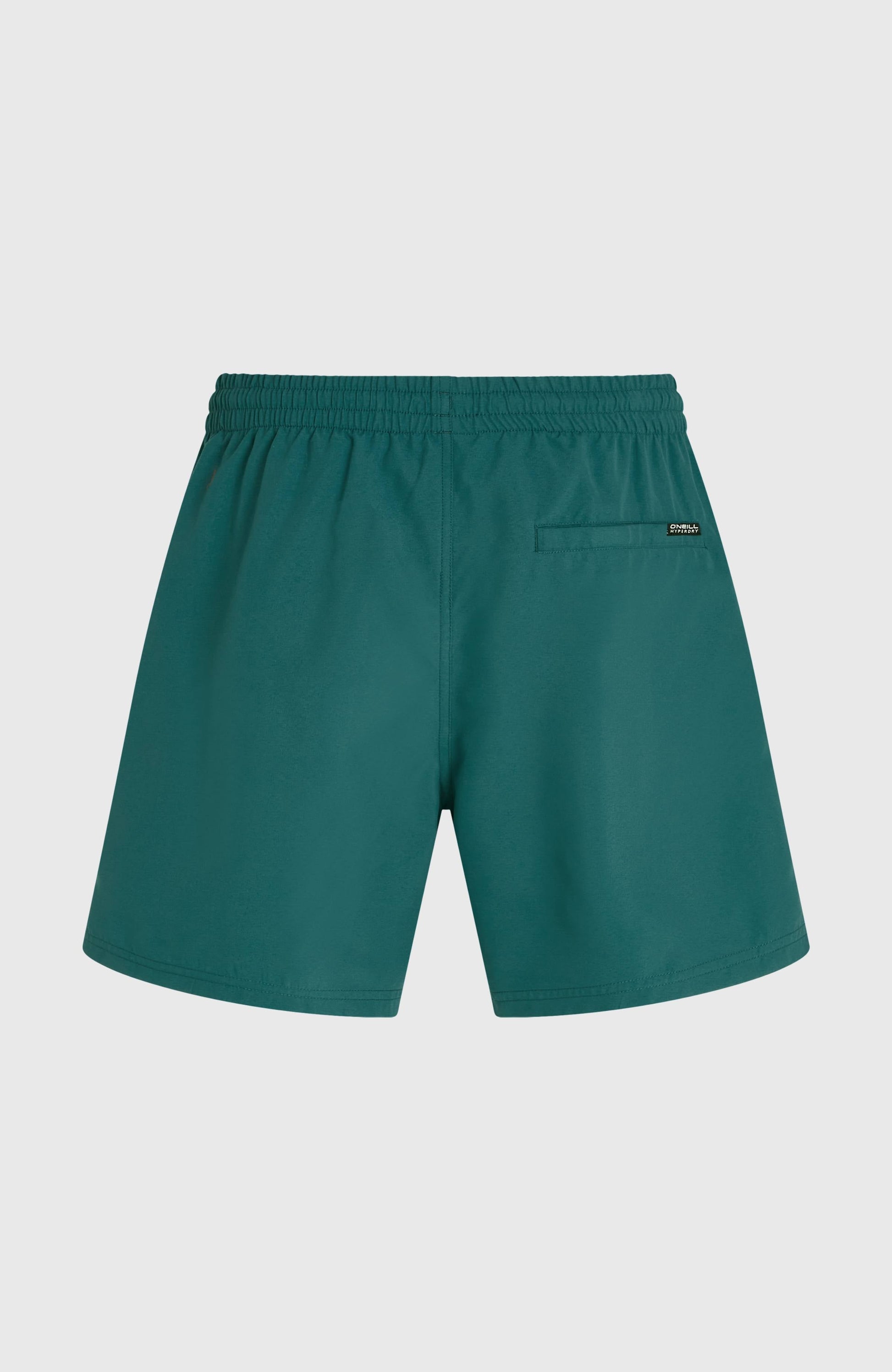 O'Neill Logo 16'' Swimshorts Men - Botanical Heat