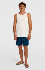 O'Neill Logo 16'' Swimshorts Men - English Evening