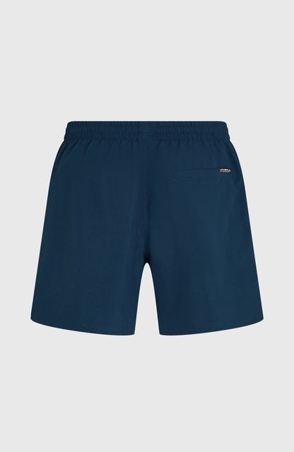 O'Neill Logo 16'' Swimshorts Men - English Evening