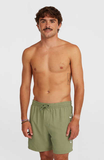 O'Neill Logo 16'' Swimshorts Men - Avery Fern