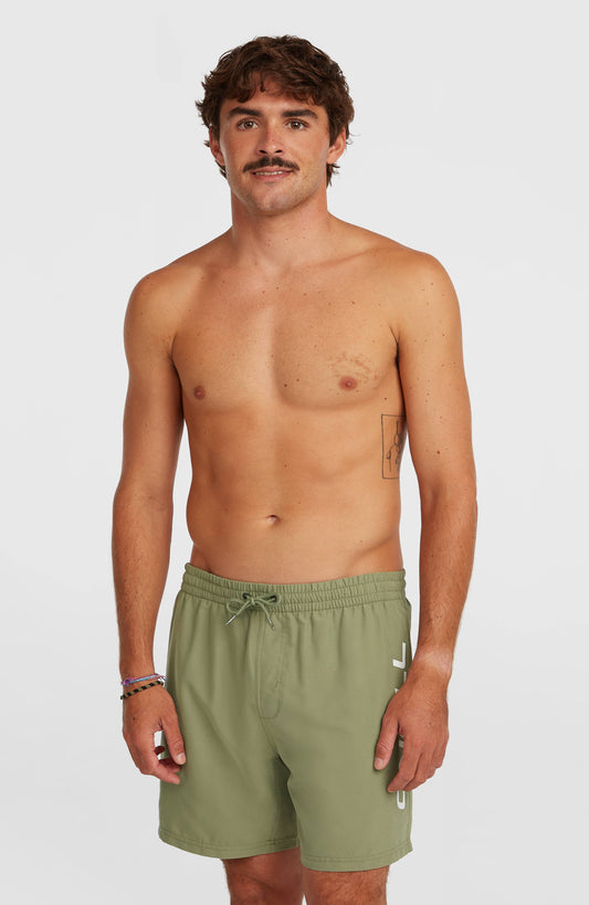 O'Neill Logo 16'' Swimshorts Men - Avery Fern
