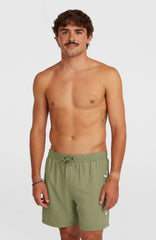 O'Neill Logo 16'' Swimshorts Men - Avery Fern