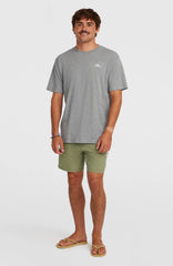 O'Neill Logo 16'' Swimshorts Men - Avery Fern