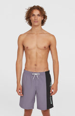 Retro 19'' Swim Shorts Men - Storm Colour Block