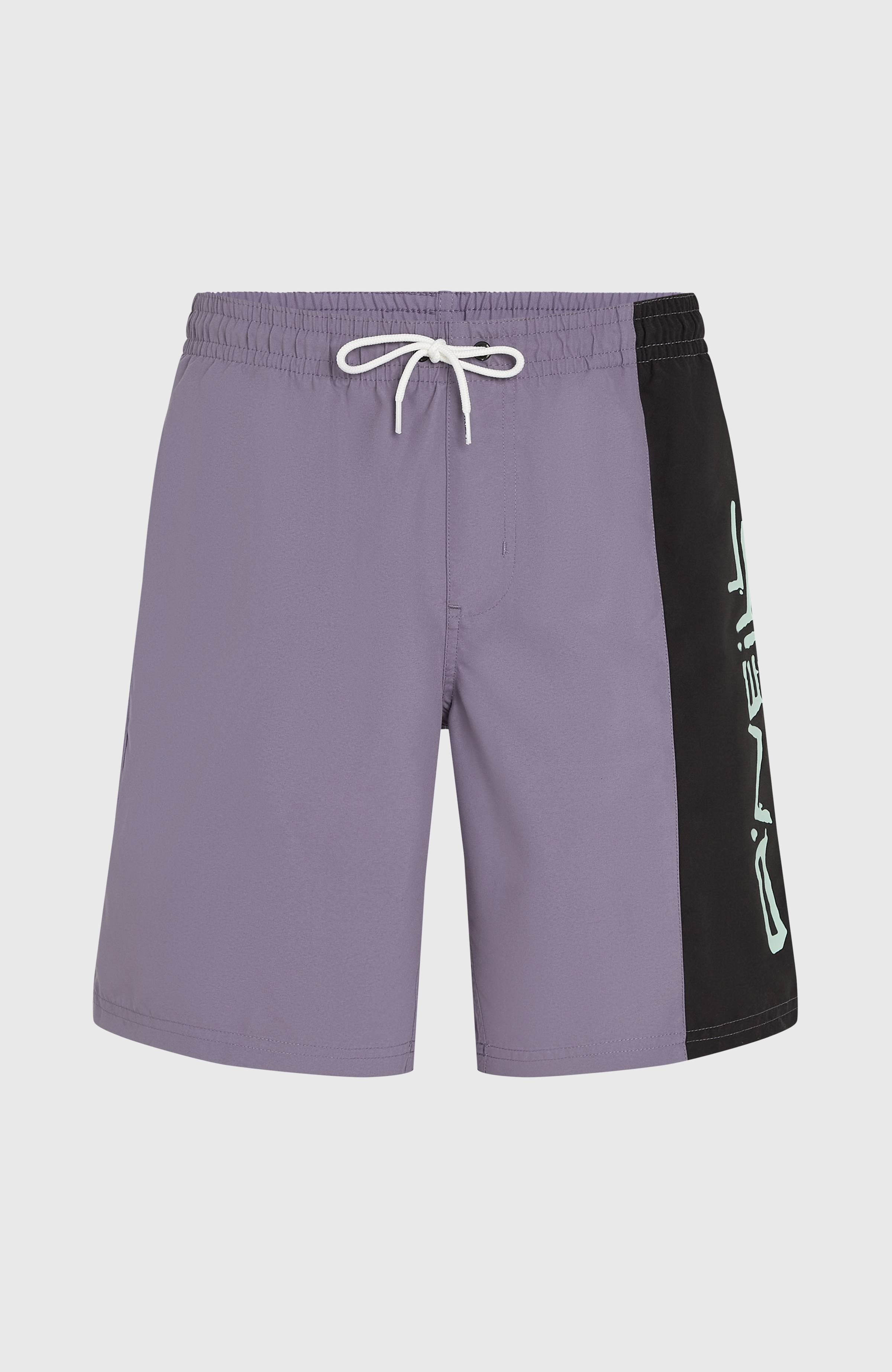 Retro 19'' Swim Shorts Men - Storm Colour Block