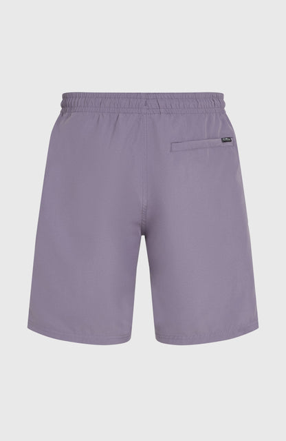 Retro 19'' Swim Shorts Men - Storm Colour Block