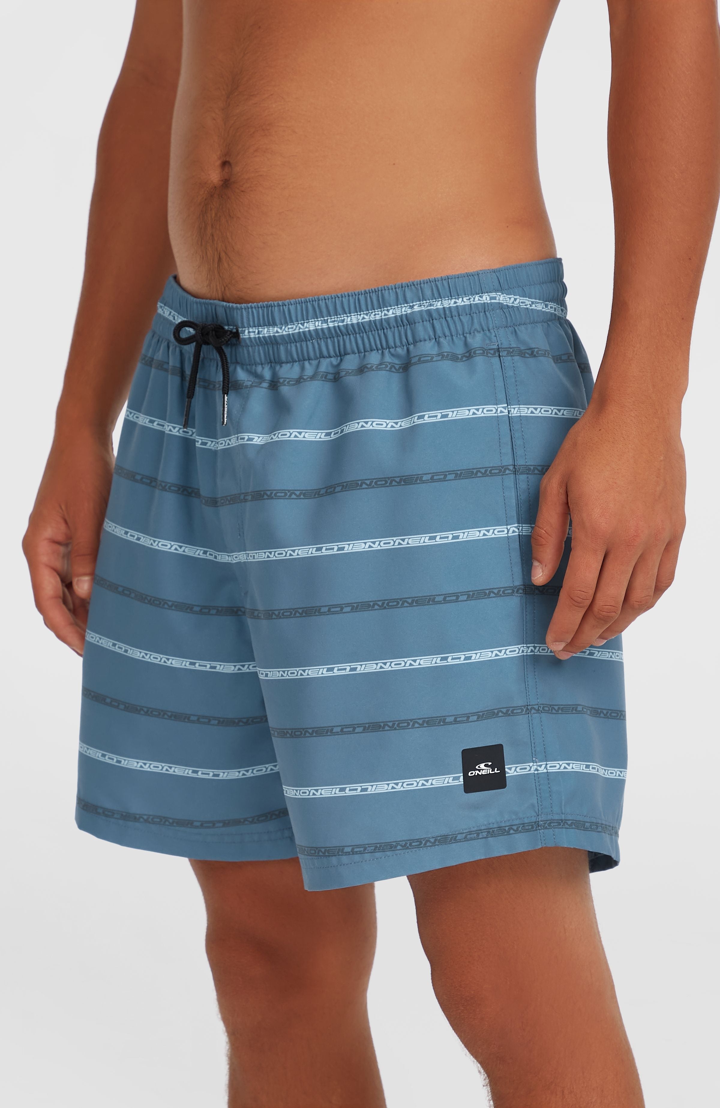 Cali First 15'' Swim Shorts Men - Blue O'Neill Stripe