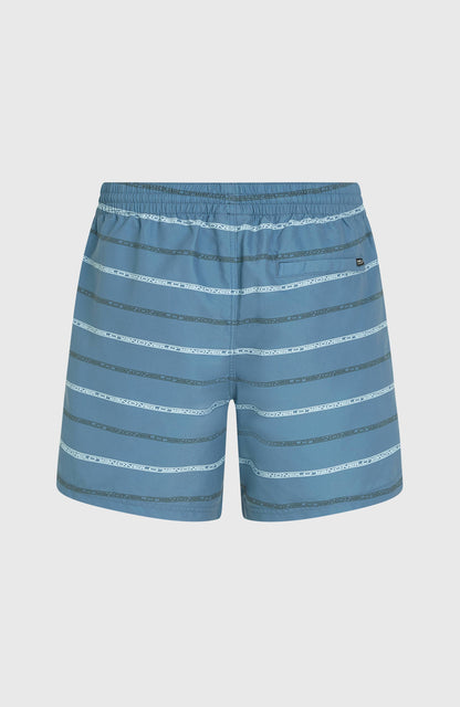 Cali First 15'' Swim Shorts Men - Blue O'Neill Stripe