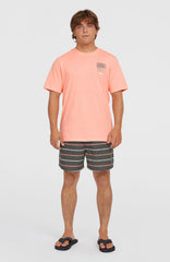 Cali First 15'' Swim Shorts Men - Grey O'Neill Stripe