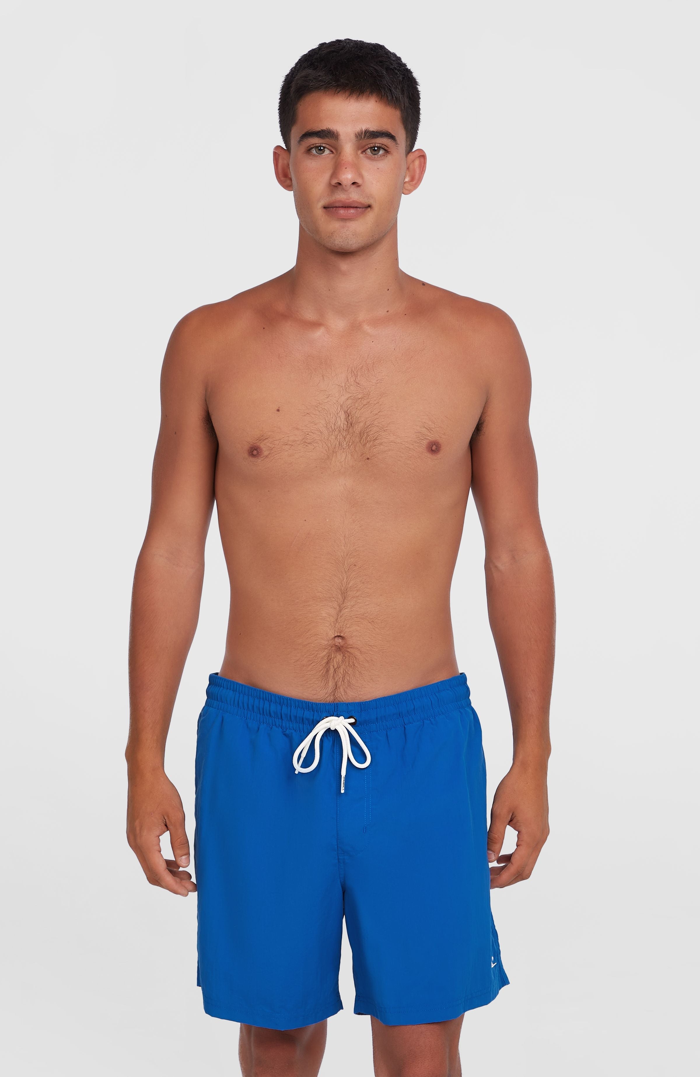 O'Neill Vert 16" Swim Shorts Men - Victoria Blue