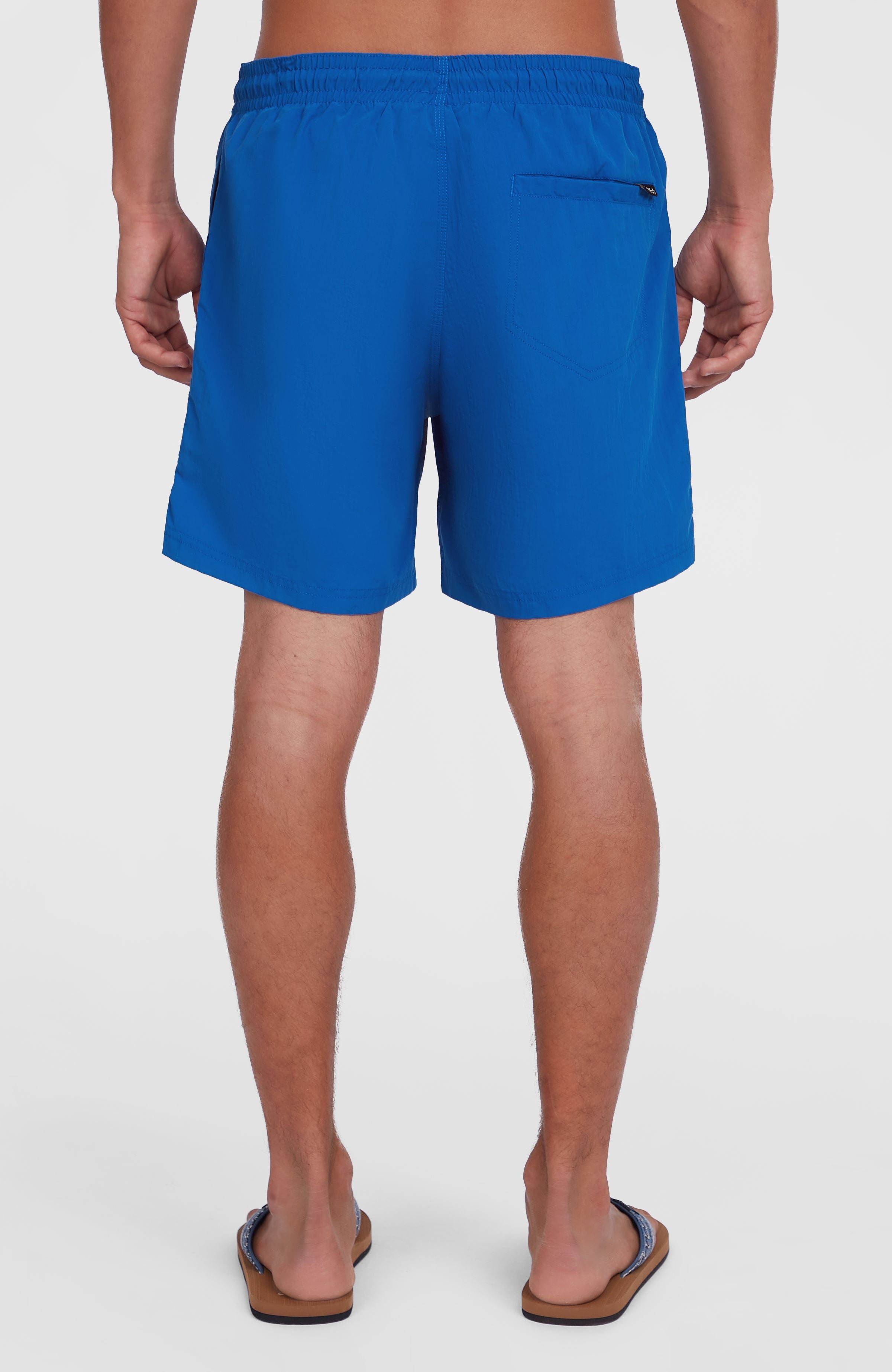 O'Neill Vert 16" Swim Shorts Men - Victoria Blue
