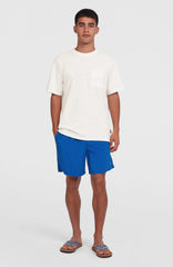 O'Neill Vert 16" Swim Shorts Men - Victoria Blue