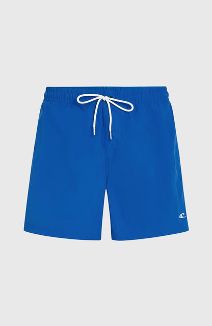 O'Neill Vert 16" Swim Shorts Men - Victoria Blue