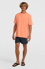 O'Neill Logo 16" Swimshorts Men - Ink Blue