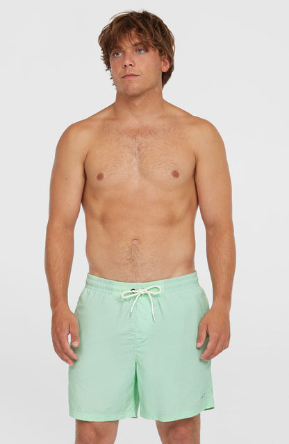 O’Neill Vert 16'' Swim Shorts Men - Mildrew Mint