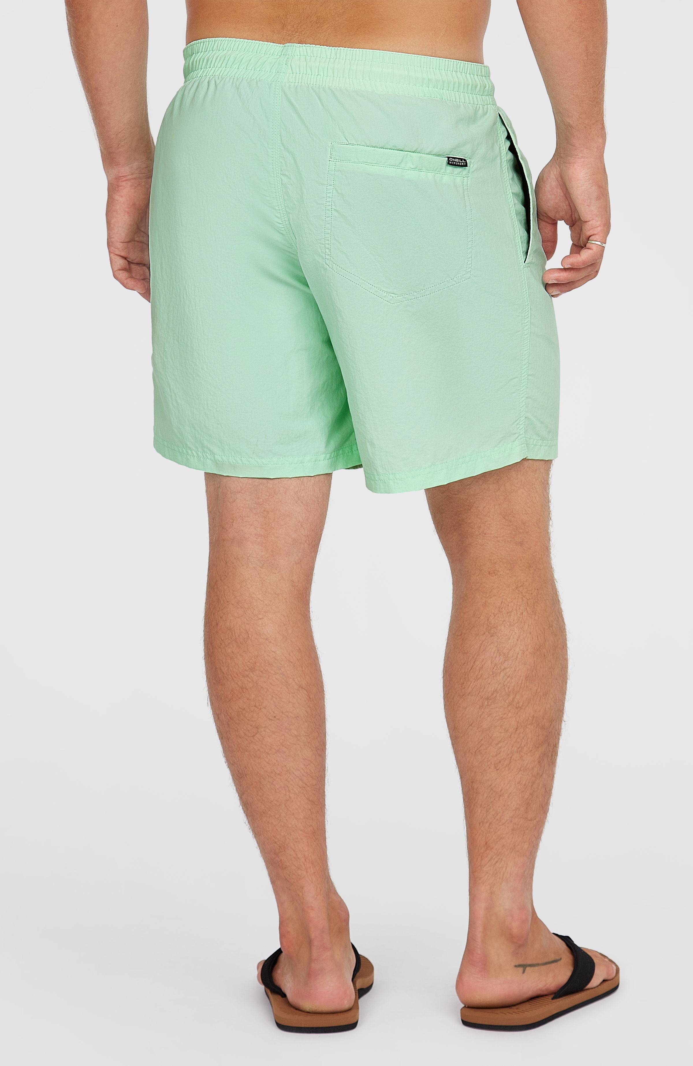 O’Neill Vert 16'' Swim Shorts Men - Mildrew Mint