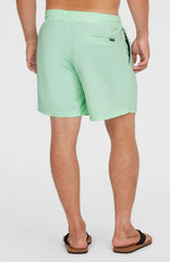O’Neill Vert 16'' Swim Shorts Men - Mildrew Mint