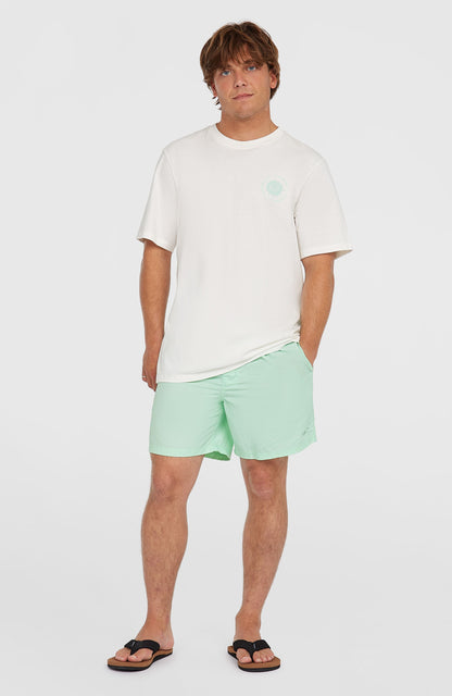 O’Neill Vert 16'' Swim Shorts Men - Mildrew Mint