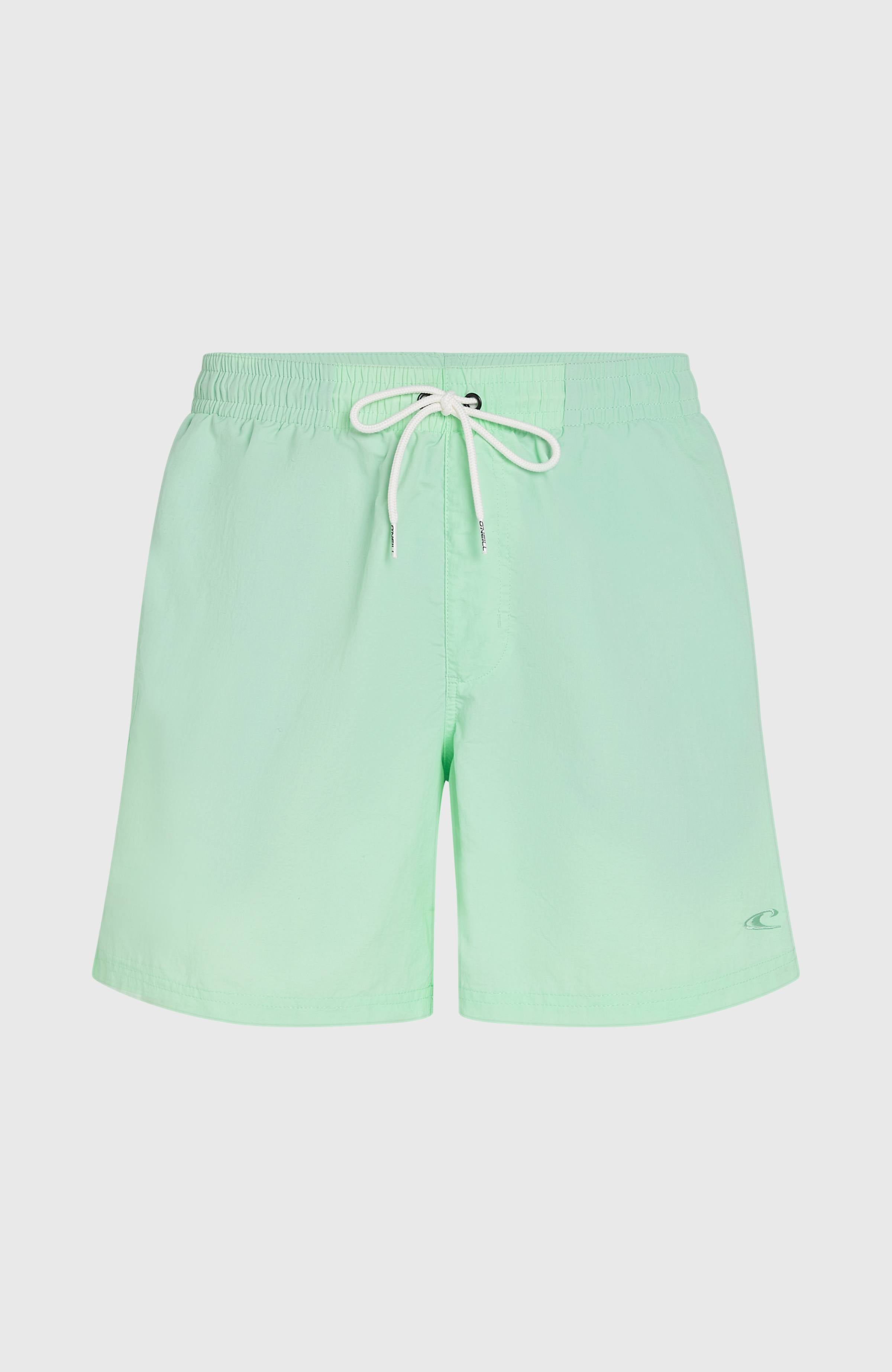 O’Neill Vert 16'' Swim Shorts Men - Mildrew Mint