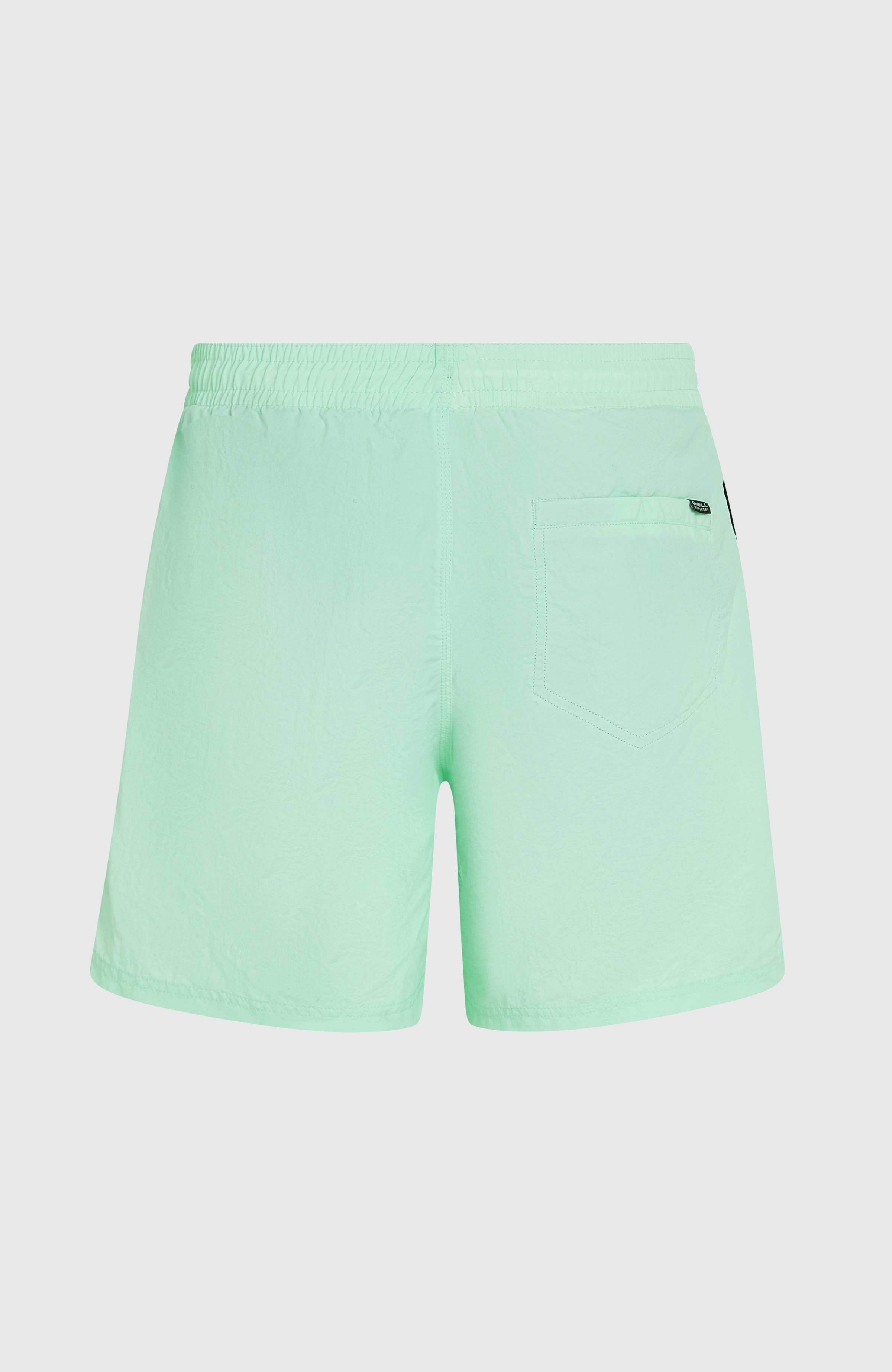 O’Neill Vert 16'' Swim Shorts Men - Mildrew Mint