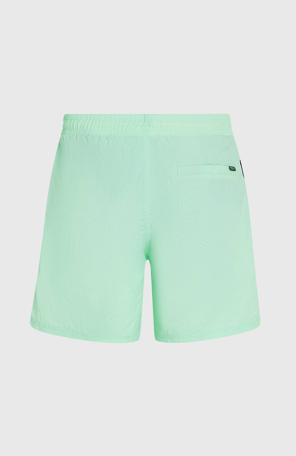 O’Neill Vert 16'' Swim Shorts Men - Mildrew Mint