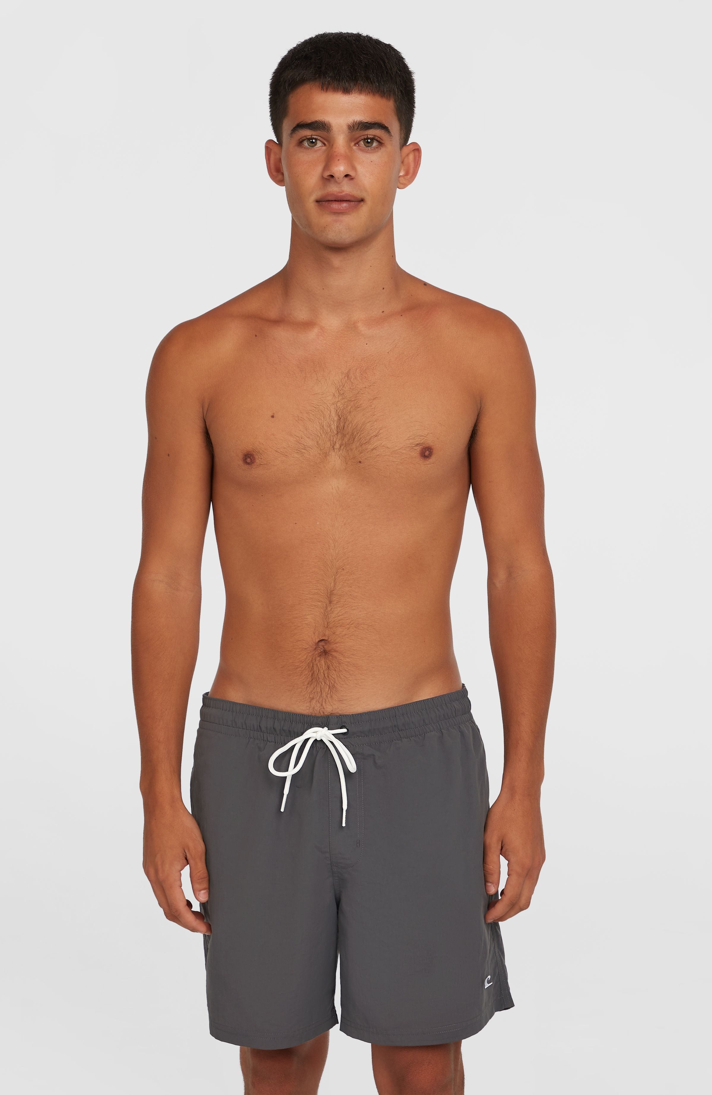O'Neill Vert 16" Swim Shorts Men - Asphalt