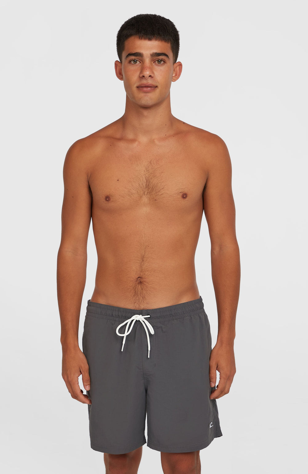 O'Neill Vert 16" Swim Shorts Men - Asphalt