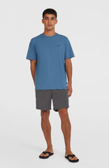 O'Neill Vert 16" Swim Shorts Men - Asphalt