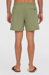 Cali 16'' Swim Shorts Men - Avery Fern