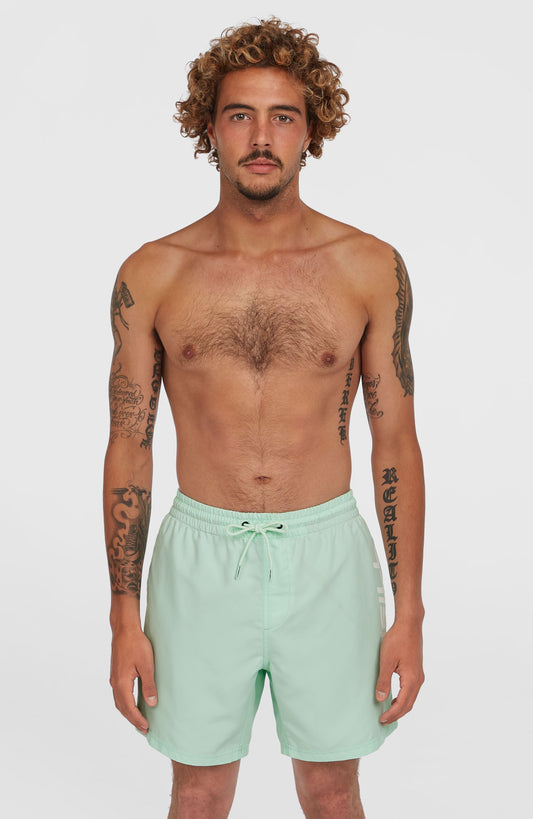 Cali 16'' Swim Shorts Men - Mildrew Mint
