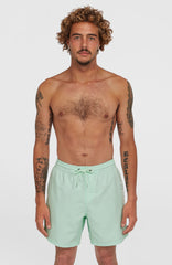 Cali 16'' Swim Shorts Men - Mildrew Mint