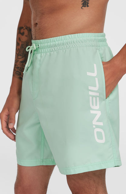 Cali 16'' Swim Shorts Men - Mildrew Mint