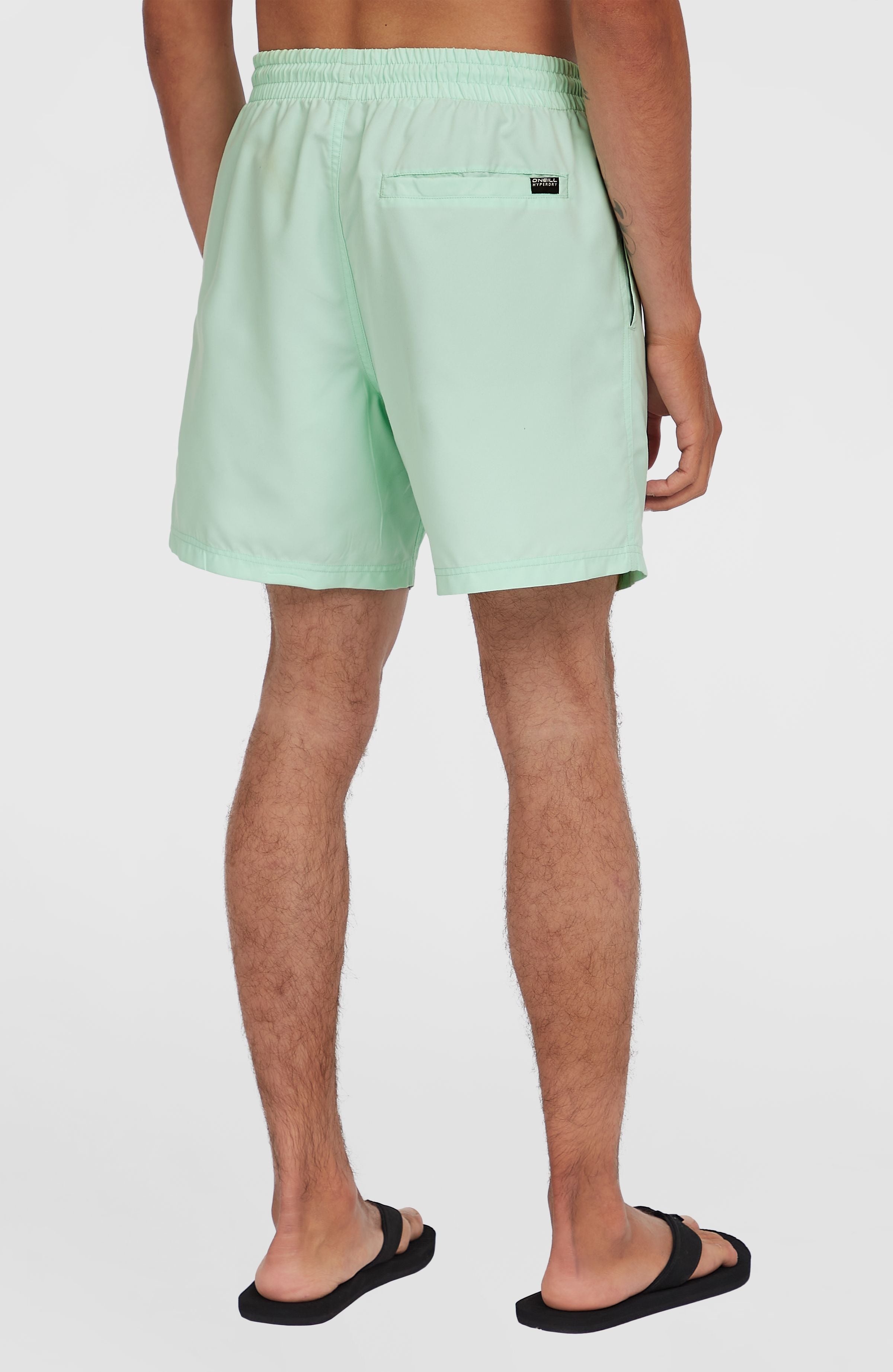 Cali 16'' Swim Shorts Men - Mildrew Mint