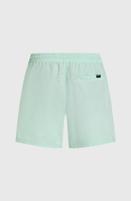 Cali 16'' Swim Shorts Men - Mildrew Mint