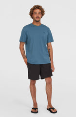 Cali 16" Swim Shorts Men - Black Out