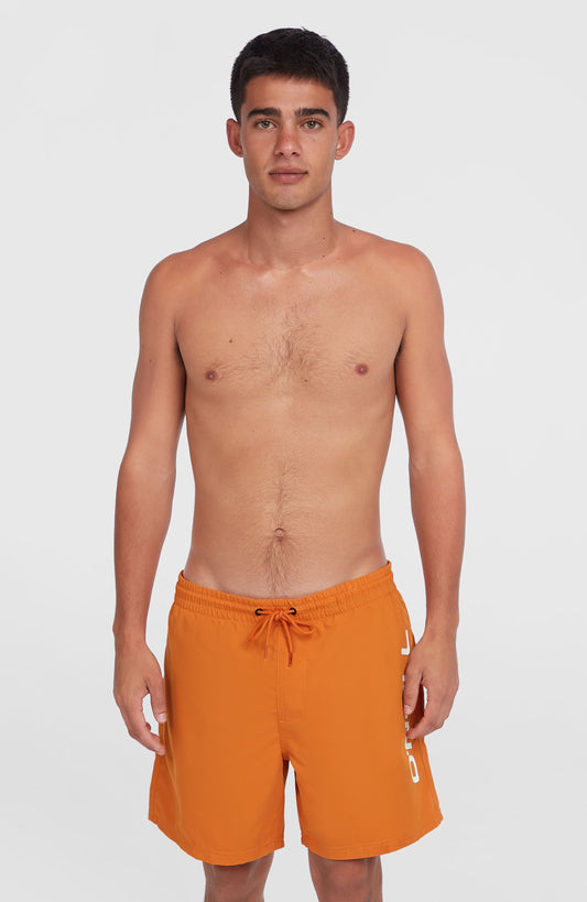 Cali 16'' Swim Shorts Men - Cinnamon Stick