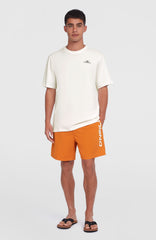 Cali 16'' Swim Shorts Men - Cinnamon Stick