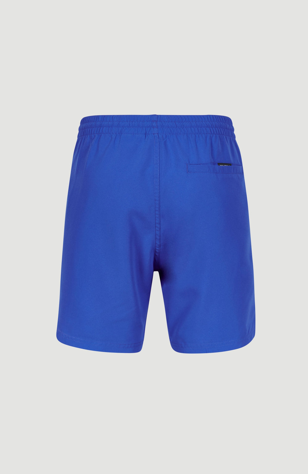 Cali 16" Swim Shorts Men - Victoria Blue