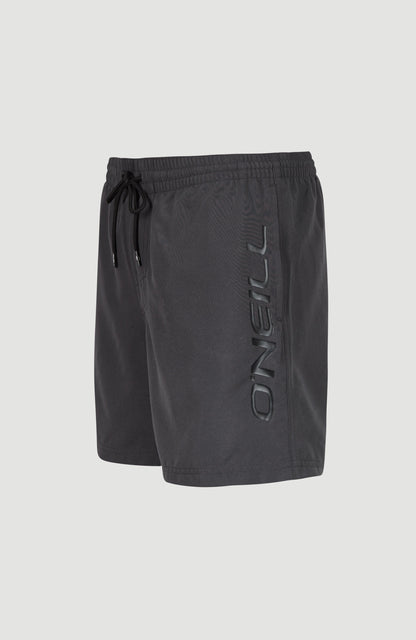 Cali 16" Swim Shorts Men - Asphalt