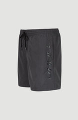 Cali 16" Swim Shorts Men - Asphalt