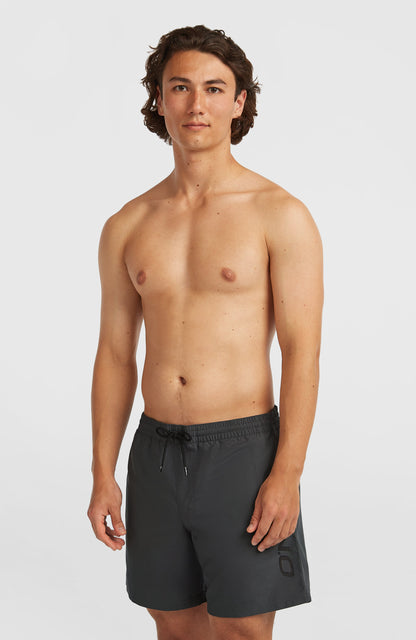 Cali 16" Swim Shorts Men - Asphalt