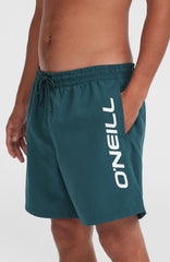 Cali 16'' Swim Shorts Men - Alma Steel