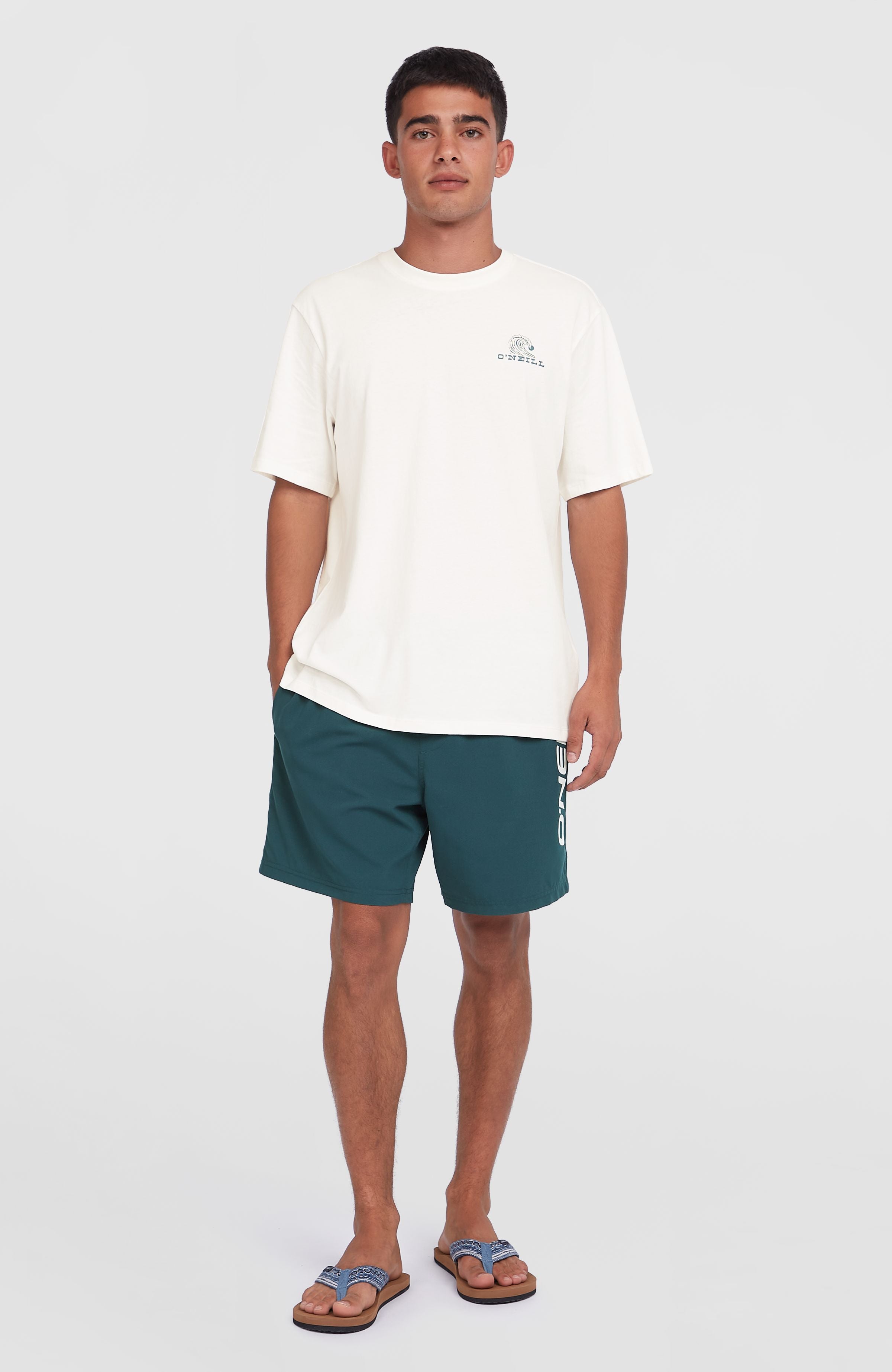 Cali 16'' Swim Shorts Men - Alma Steel