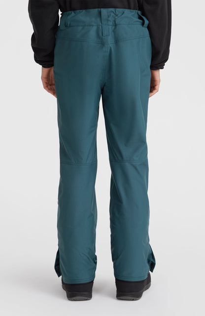 Hammer Regular Snow Pants Men - Alma Steel