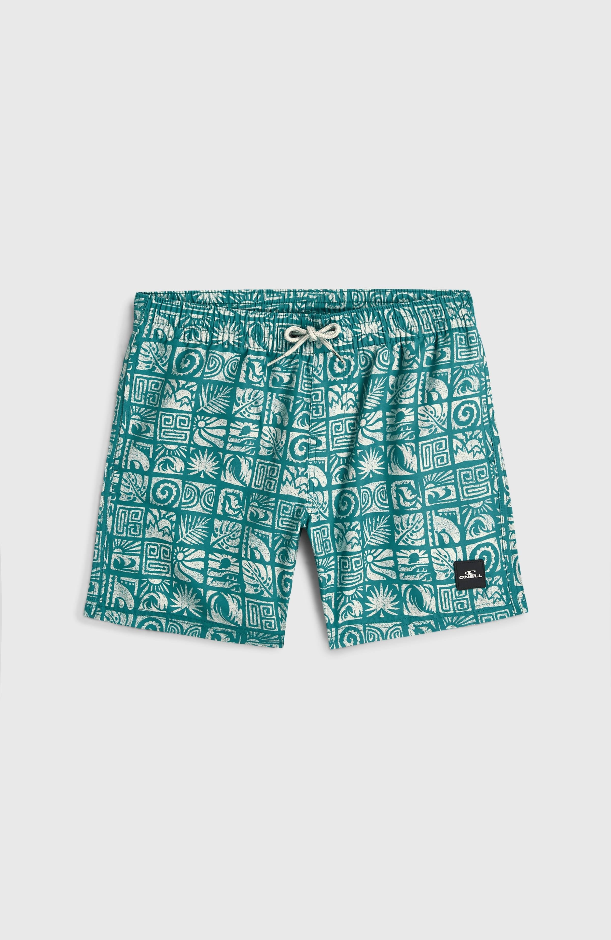 O'Neill Print Swimshorts Kids - Blue Bricks